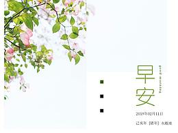 早安系列