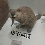 感冒灵ye的头像