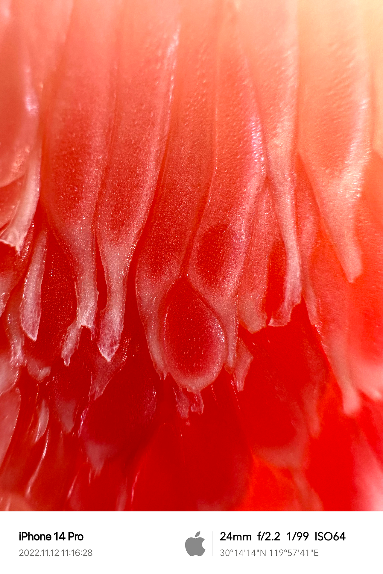 Clint手机摄影/生活观察2022Q4（图ZMzQ1ODI5Mzc2） - 人文/纪实摄影 - 站酷设计师Clint克林原创素材 - 站酷ZCOOL