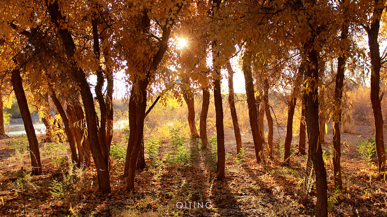 旅行 | 寻找上帝打翻的调色盘（图ZMjI1NDExMzgw） - 风光摄影 - 站酷设计师苏婶二原创素材 - 站酷ZCOOL