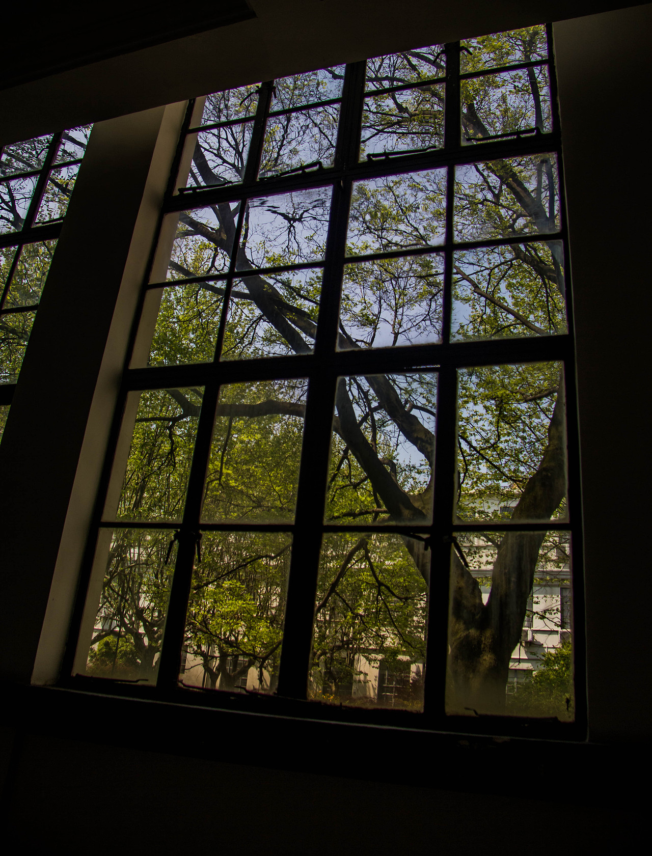 这张是在交大工程学院拍的,透过窗子看到窗外的景色,仿佛看到了百年名校的历史!