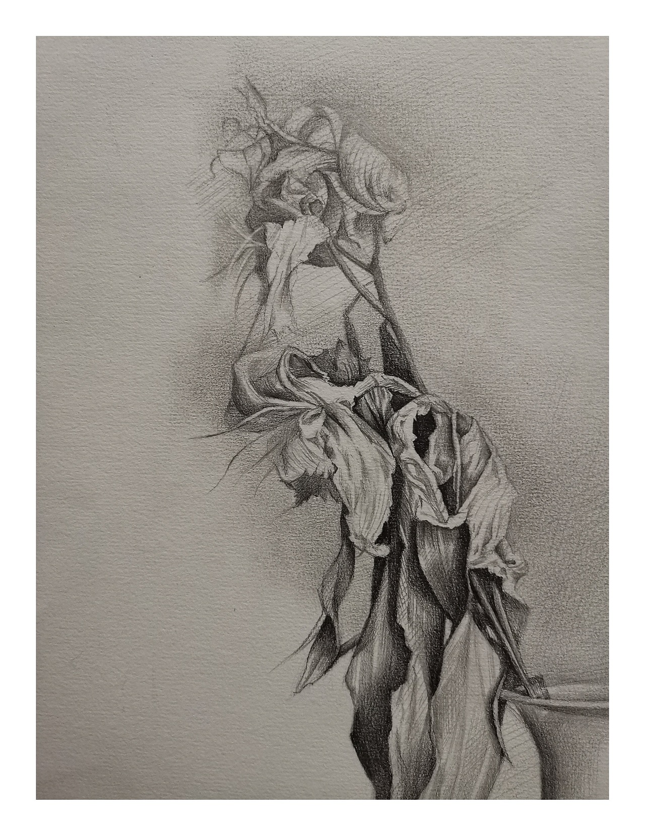 《枯萎的季节》（图ZMjI3NDcxOTE2） - 绘画 - 站酷设计师一一一DOUBLE原创素材 - 站酷ZCOOL