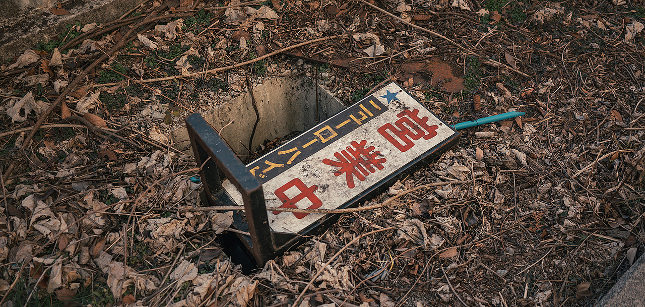 和富士山一带的针叶林不同,这里的树木纵横交错,而叶子已经掉光,只剩下繁杂的树杈在风中独自凌乱。