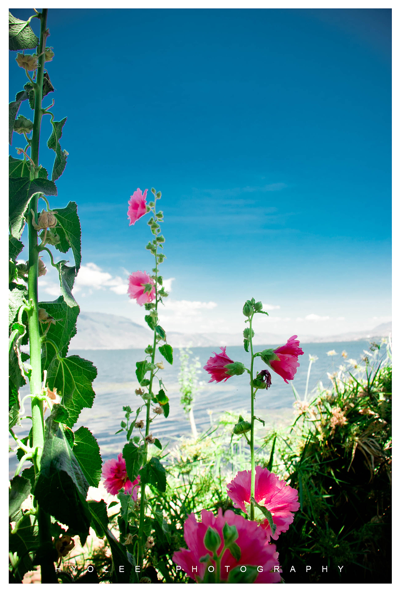 送你一个大理！（图ZMjk1MTcxMzI=） - 风光摄影 - 站酷设计师巩孝利Hyolee原创素材 - 站酷ZCOOL