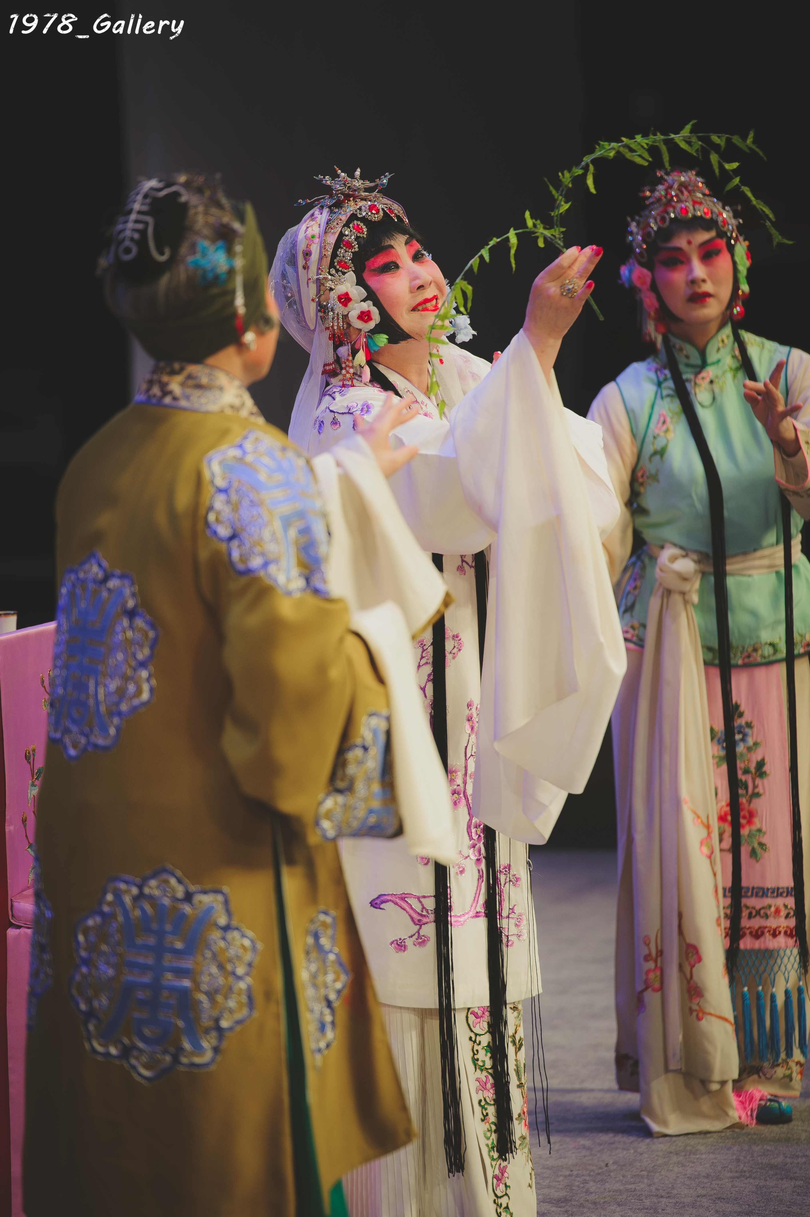 昆曲精华-临川四梦之《牡丹亭》