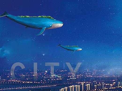 地产-滨河丽景VI