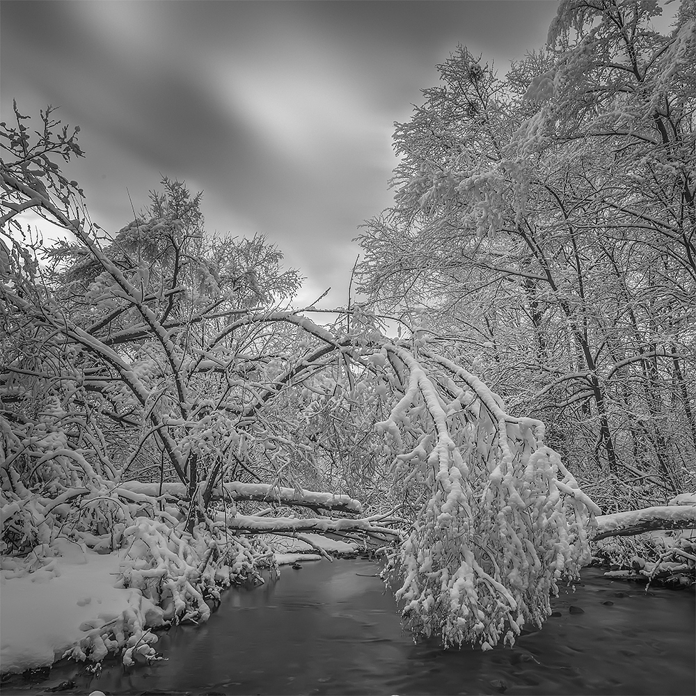 你那里下雪了吗