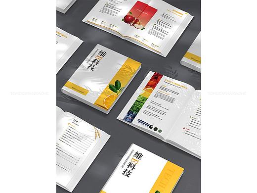 维生素系列宣传说明手册 已商用