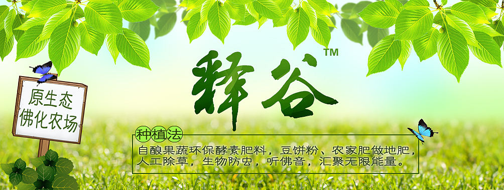 绿色食品海报（小米儿）（个人主页-ZMjIwNTYyMzI=） - 品牌 - 站酷设计师八米蔚蓝原创素材 - 站酷ZCOOL