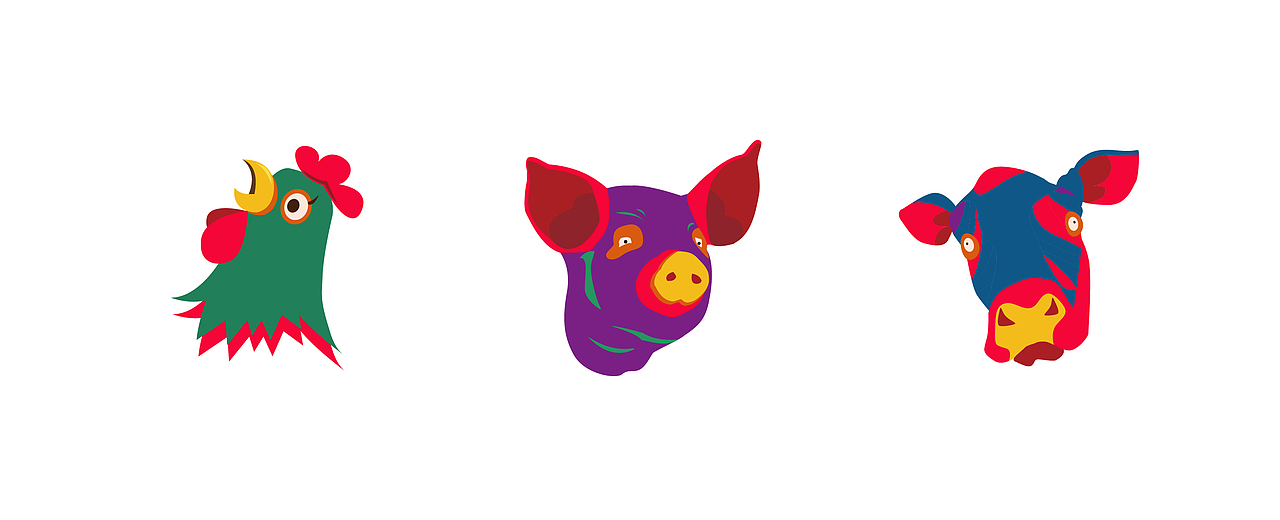 《老干妈包装改良设计》两种方案