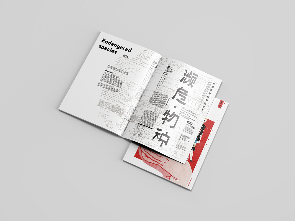 【野声】野生动物保护杂志（图ZMjY5OTkzMTY4） - 书籍/画册 - 站酷设计师狄窦原创素材 - 站酷ZCOOL