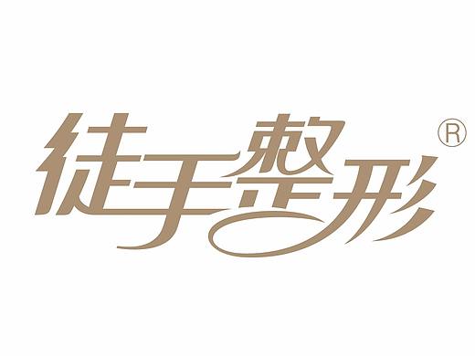 整形 画册 美容 排版 文字排版 宣传册
