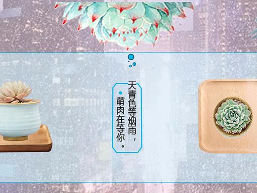 banner  多肉植物