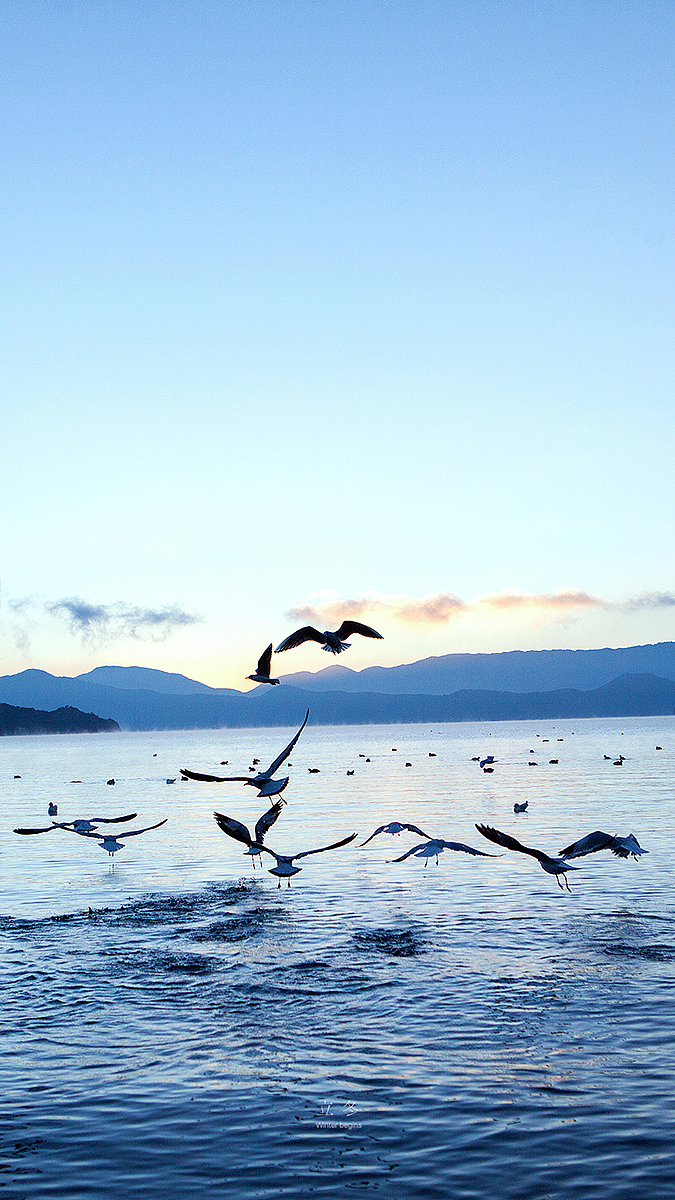 东方晨暮,四季更迭,这一年。