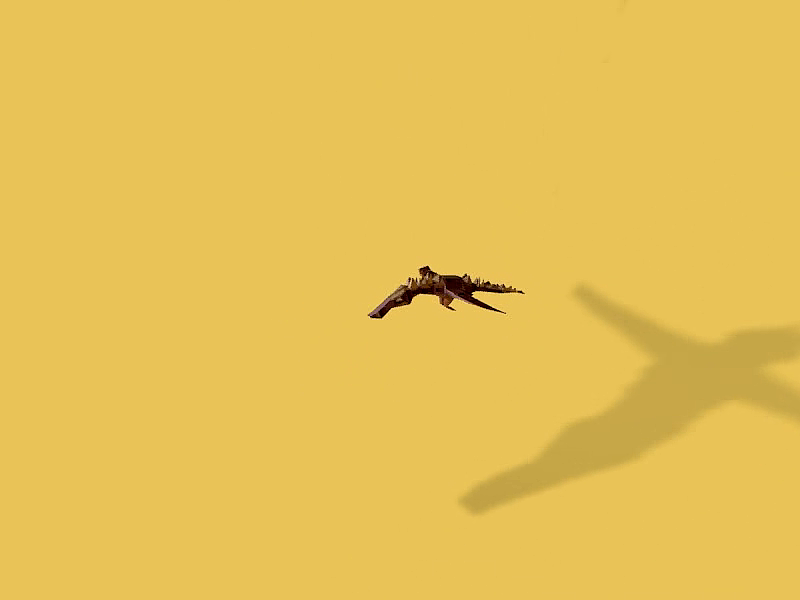 11月的一些小练习