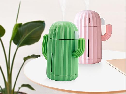仙人掌加湿器