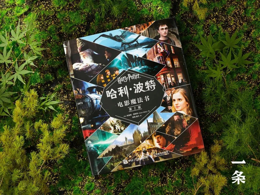 我的天 这是我离 哈利 波特 魔法世界最近的一次 赠书福利 设计文章 站酷 Zcool