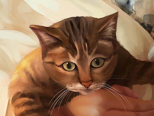 女孩和猫（个人主页-ZMzQ1MjE3NjQ=） - 商业插画 - 站酷设计师文洁Jane原创素材 - 站酷ZCOOL