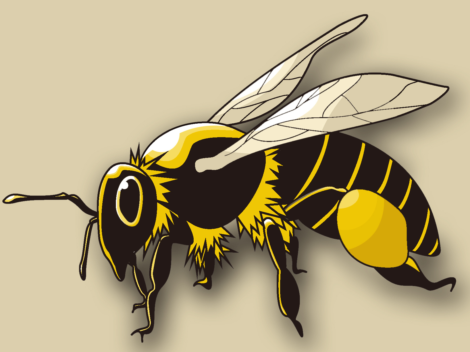 卡通手绘小蜜蜂图片素材免费下载 - 觅知网