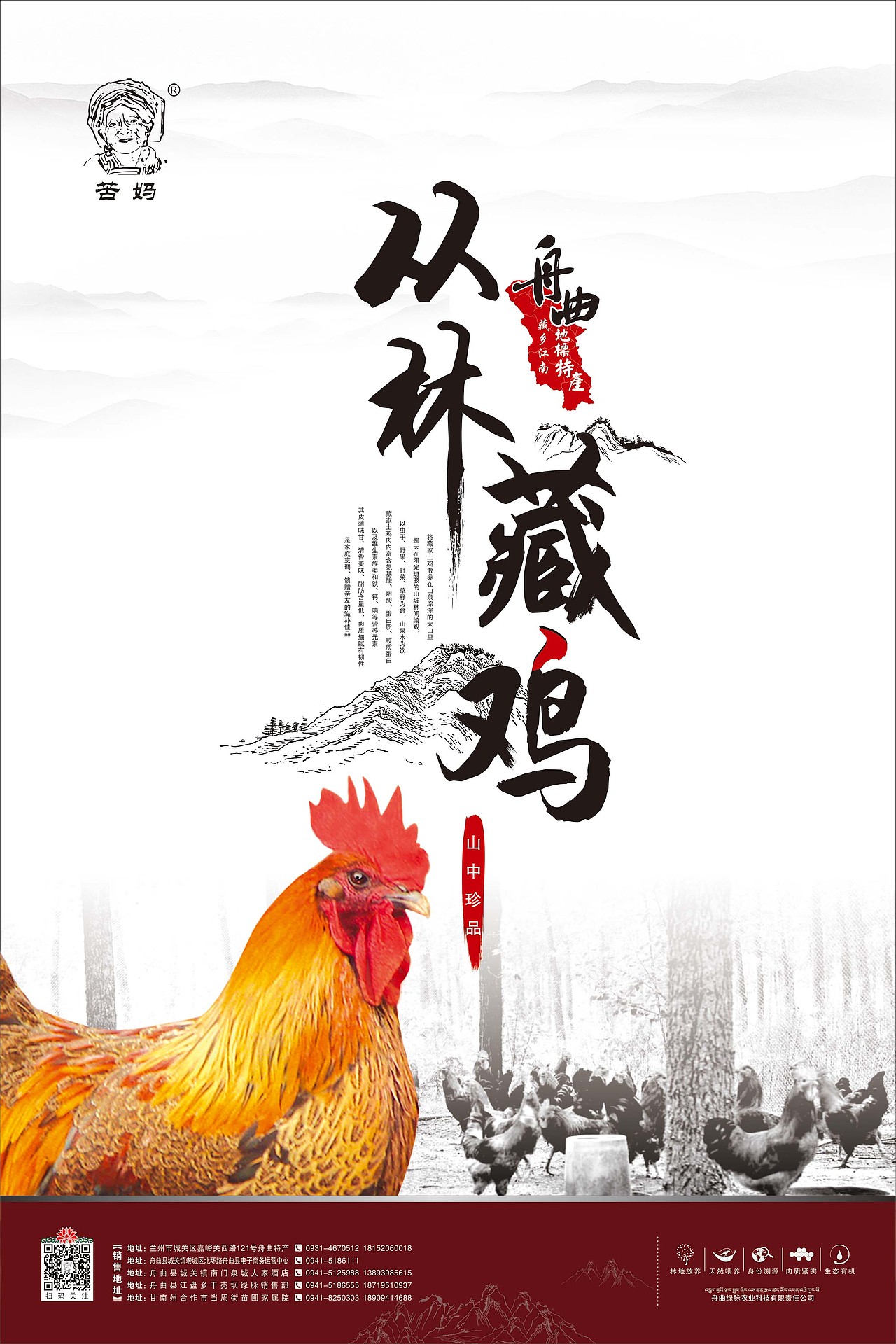 宣传物料--藏鸡（图ZMTQ0NTg2NTEy） - 宣传物料 - 站酷设计师小瓶子1232原创素材 - 站酷ZCOOL