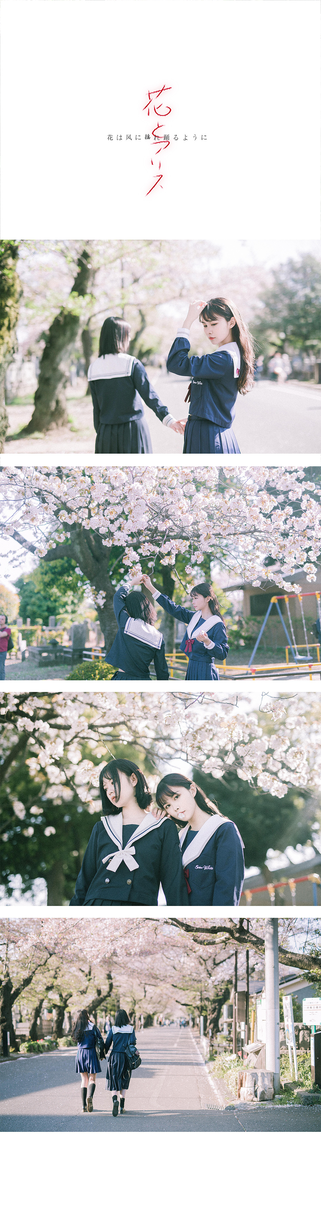 花与爱丽丝|摄影|人像摄影|阳光呀阳光你别走_原创作品-站酷zcool