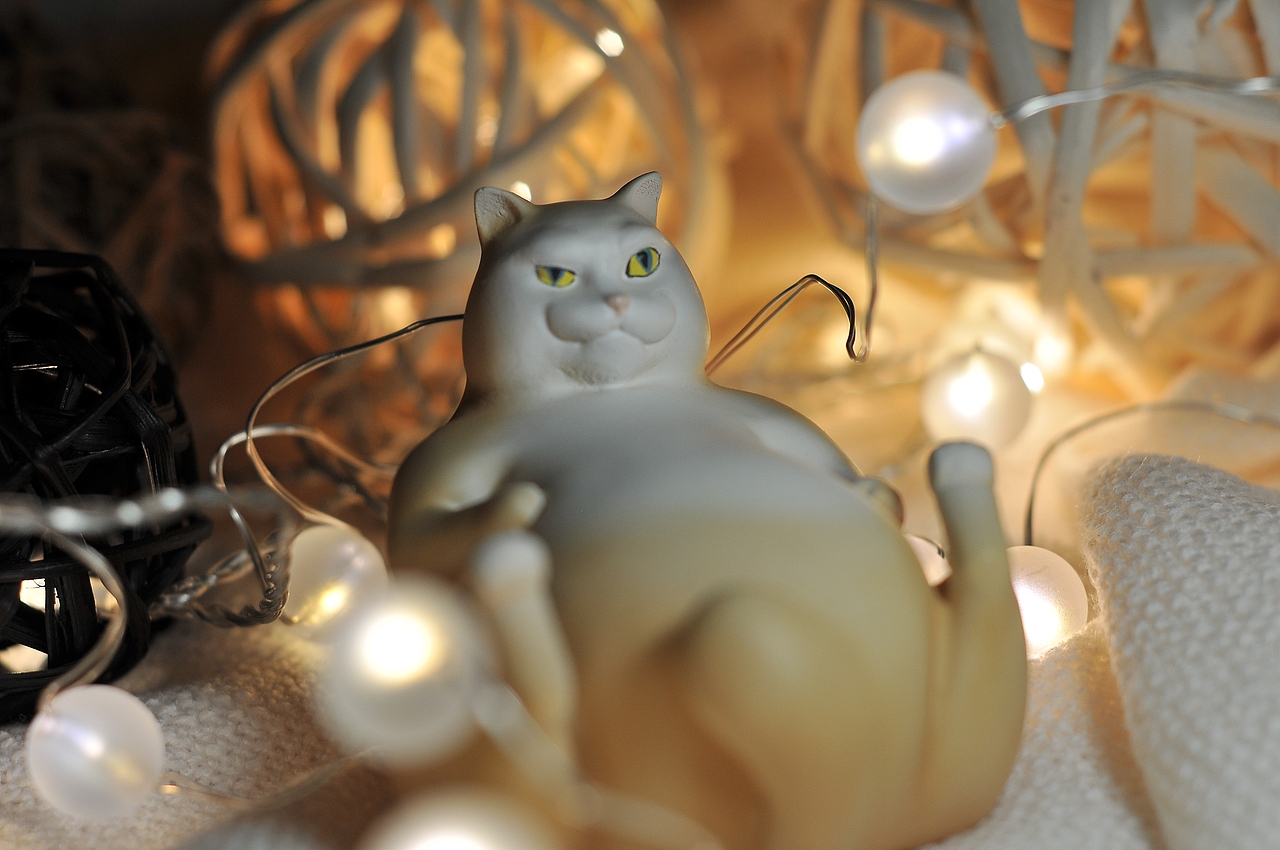 寂寞萌宠罐子 猫