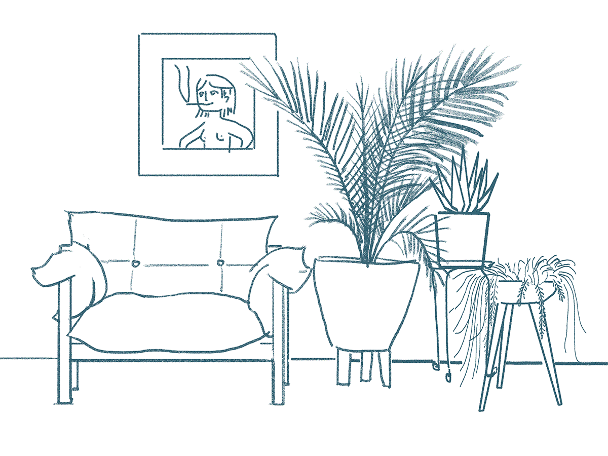 沙发、花与白猫