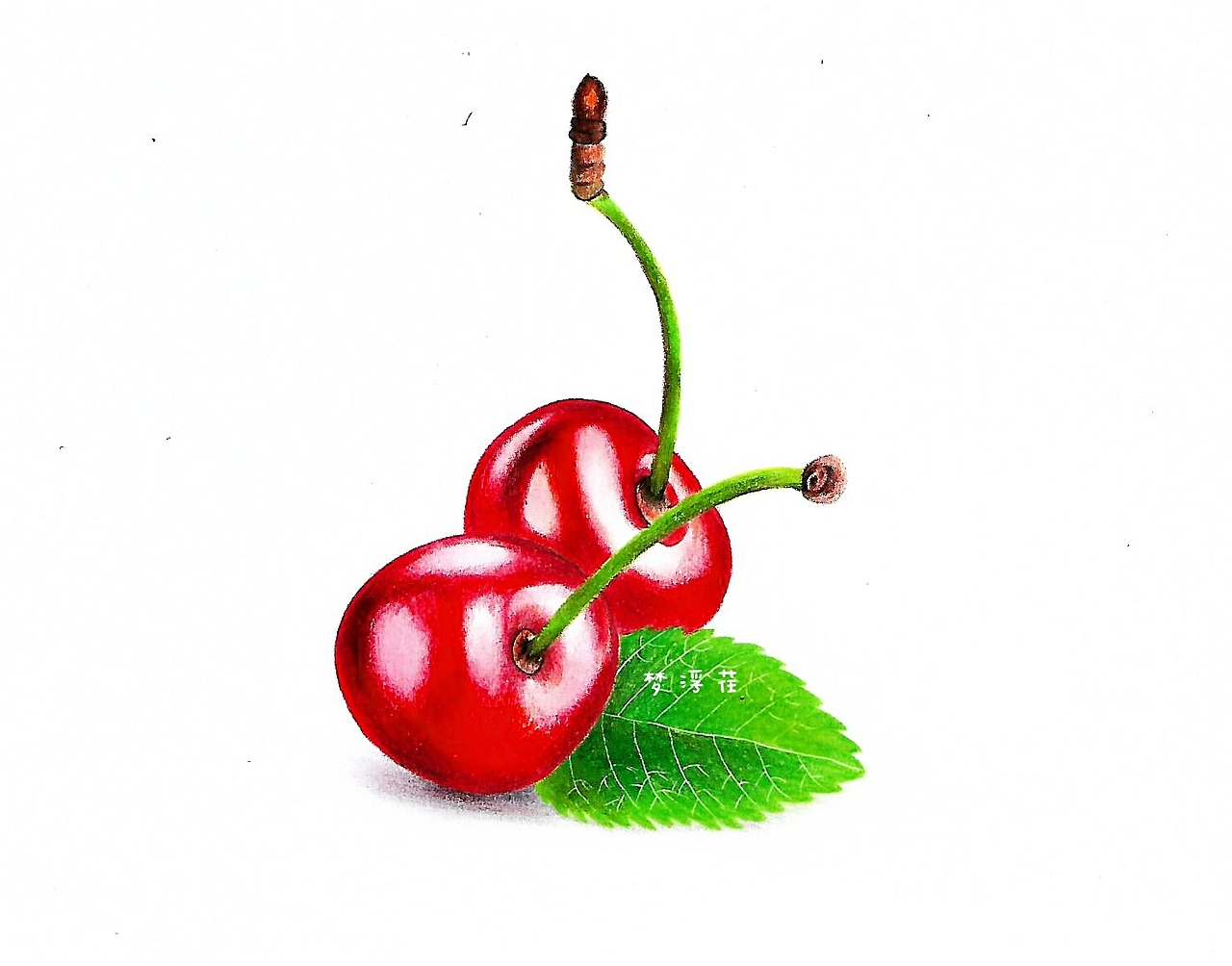 彩铅手绘两颗小樱桃