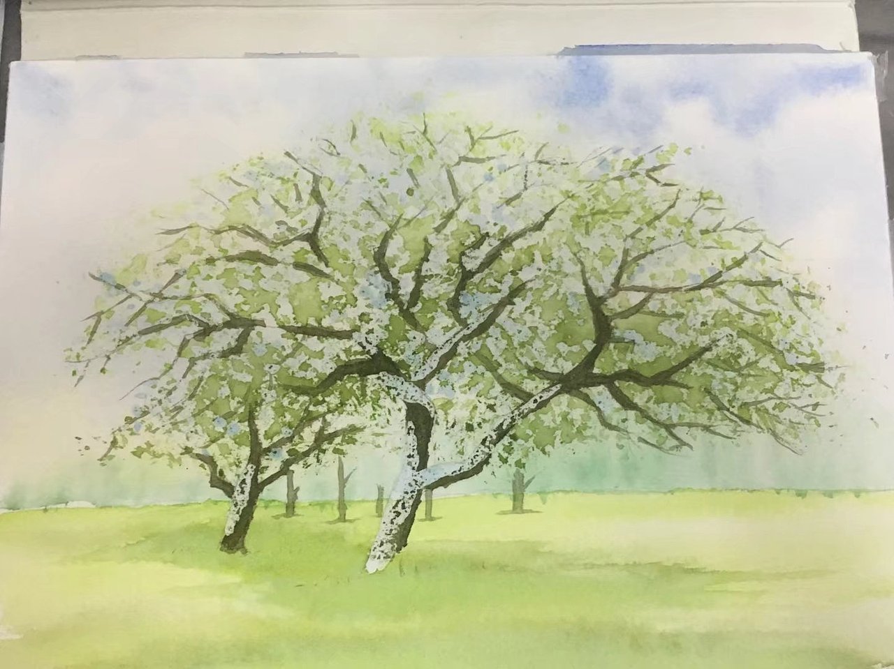 鲜花盛开的苹果树|纯艺术|绘画|taijyou_临摹作品-站酷zcool