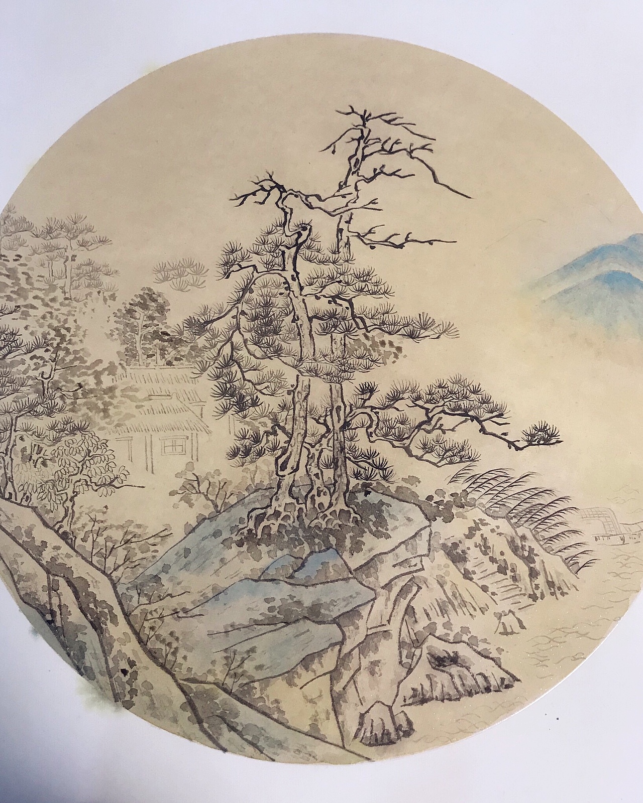 工笔-松（图ZMTg3ODkzOTg4） - 绘画 - 站酷设计师灵汐创意工作室原创素材 - 站酷ZCOOL