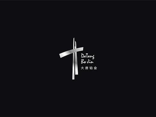 大唐铂金装饰公司形象设计