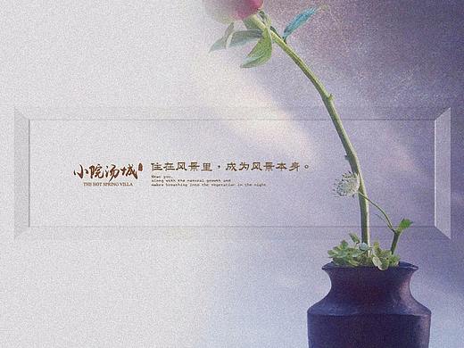 地产 · 小院汤城