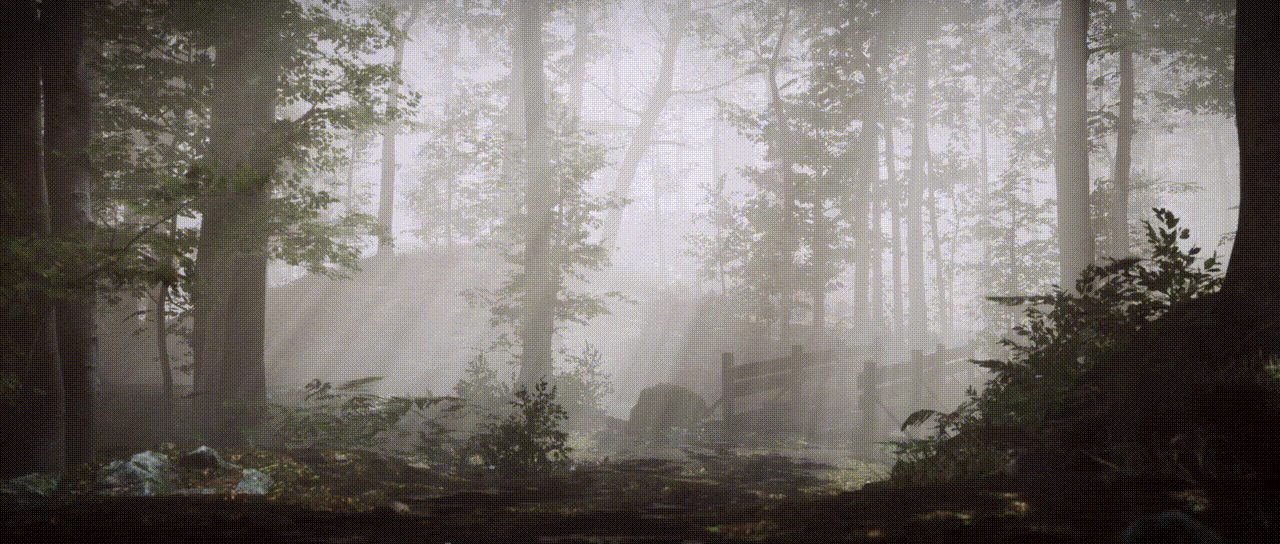 Misty Forest-Animation(图ZMjMwMTE4OTM2) - 动画/影视 - 站酷设计师ZixiIceyy原创素材 - 站酷ZCOOL