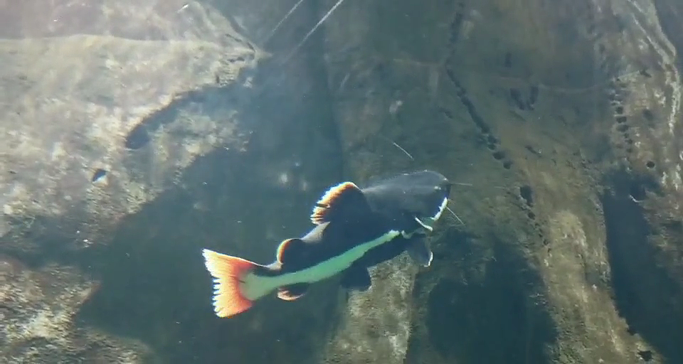 水世界（图ZMjQ4NTU1OTgw） - 修图/后期 - 站酷设计师紫月琉璃香原创素材 - 站酷ZCOOL