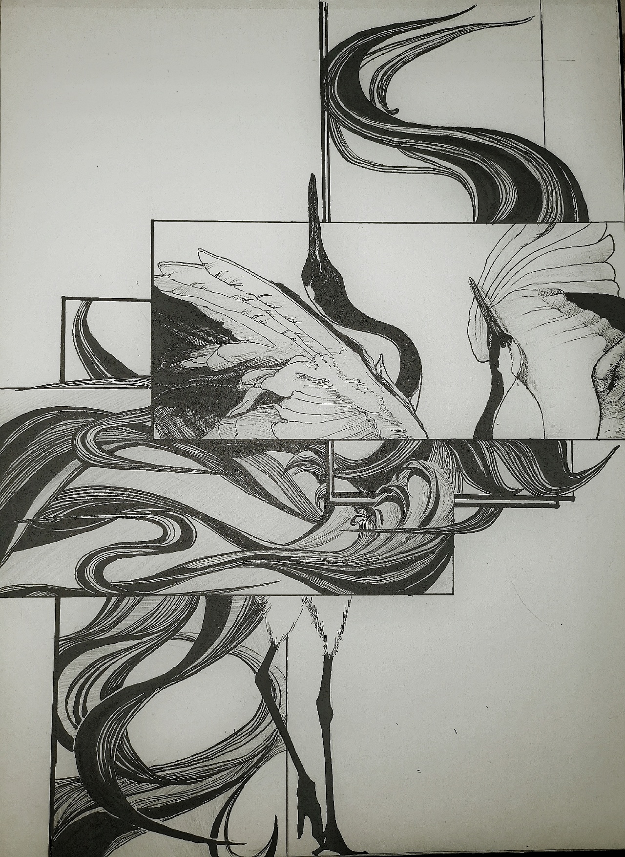 鹤- 原创作品 - 站酷(zcool)