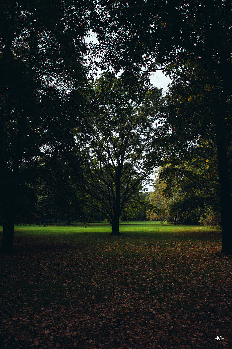 蒂尔加滕公园的占地面积算是比较大的吧，至少我徒步走了一下感受到了疲惫，当然又或许我当时正在感冒…也可能当时我发现因为道路维修便利到可怕的100路公交并不到达我所在的位置，而且是最后一天…总体而言，在第一天到达柏林时，我的运气值基本是负数。至少整个下午的时间里我的脑子是要炸了的~