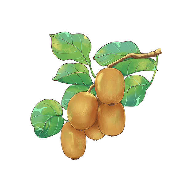 插画水果合集(24节气)