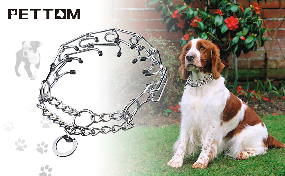 宠物牵引类产品A+设计