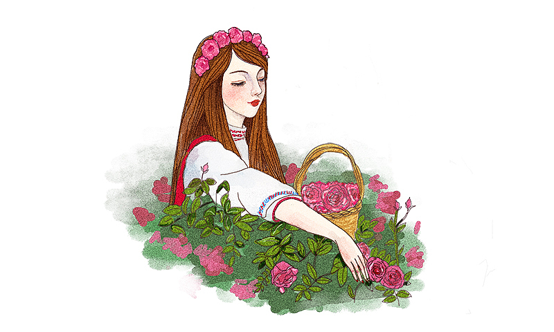 水彩 采摘玫瑰的少女（图ZMjE5MTgxMTY4） - 商业插画 - 站酷设计师叮当乱想原创素材 - 站酷ZCOOL