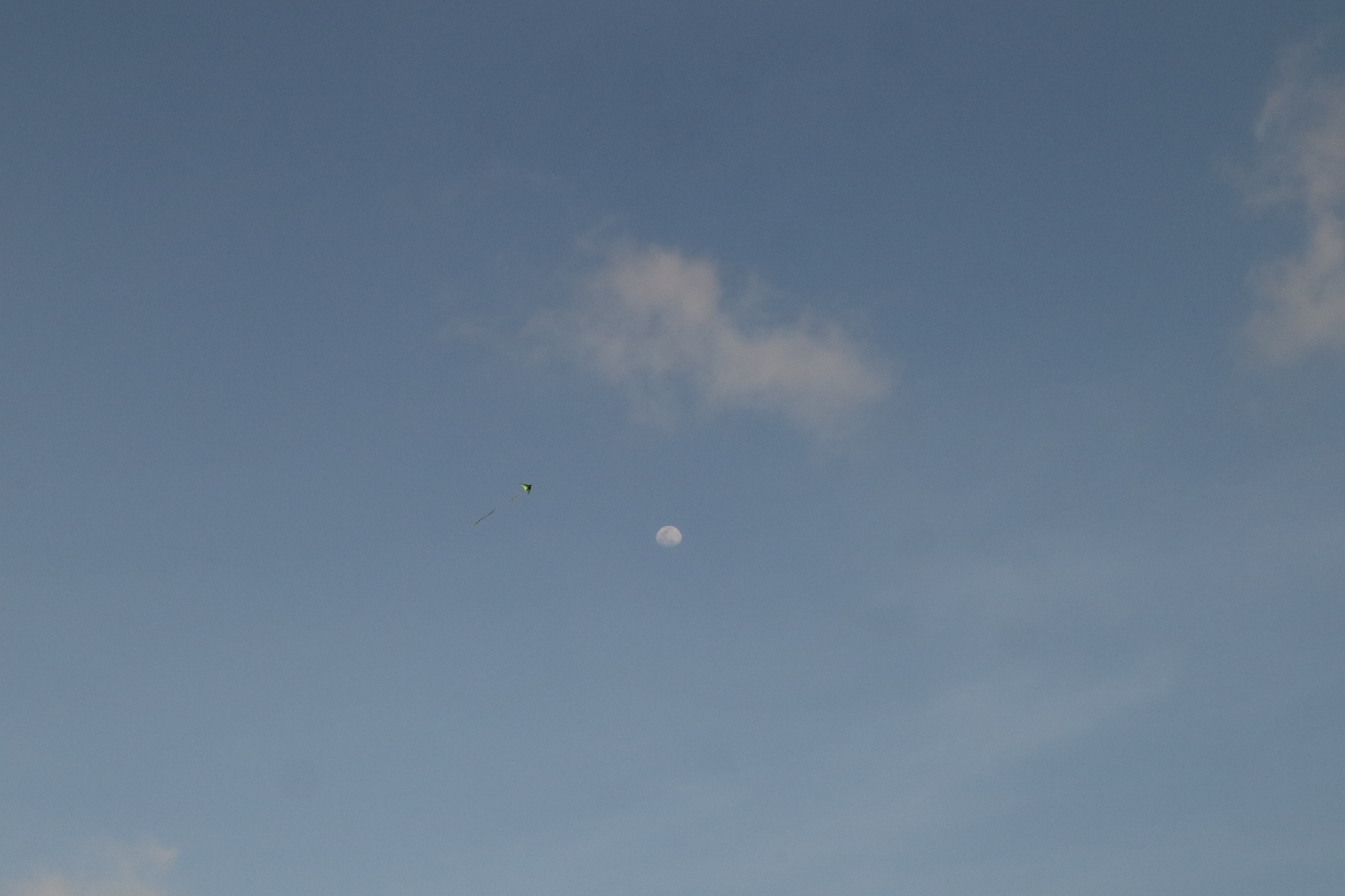 Likyyy的个人主页（封面预览） - 主页封面设置 - 站酷设计师Likyyy原创素材 - 站酷ZCOOL