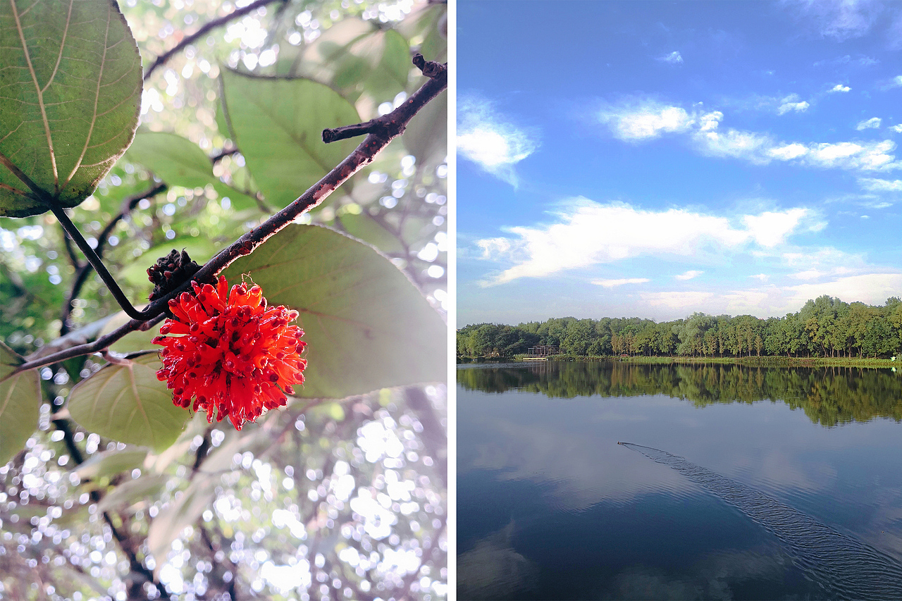小梦的随手拍-第2期