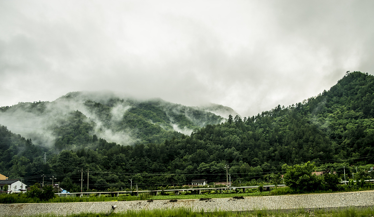 这张片子总感觉拍的不清晰,不是很满意