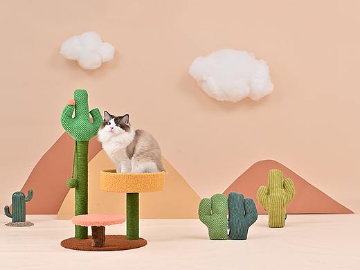 仙人掌猫爬架（个人主页-ZNTQzODAzMDA=） - 产品摄影 - 站酷设计师开坦克的小笼包原创素材 - 站酷ZCOOL
