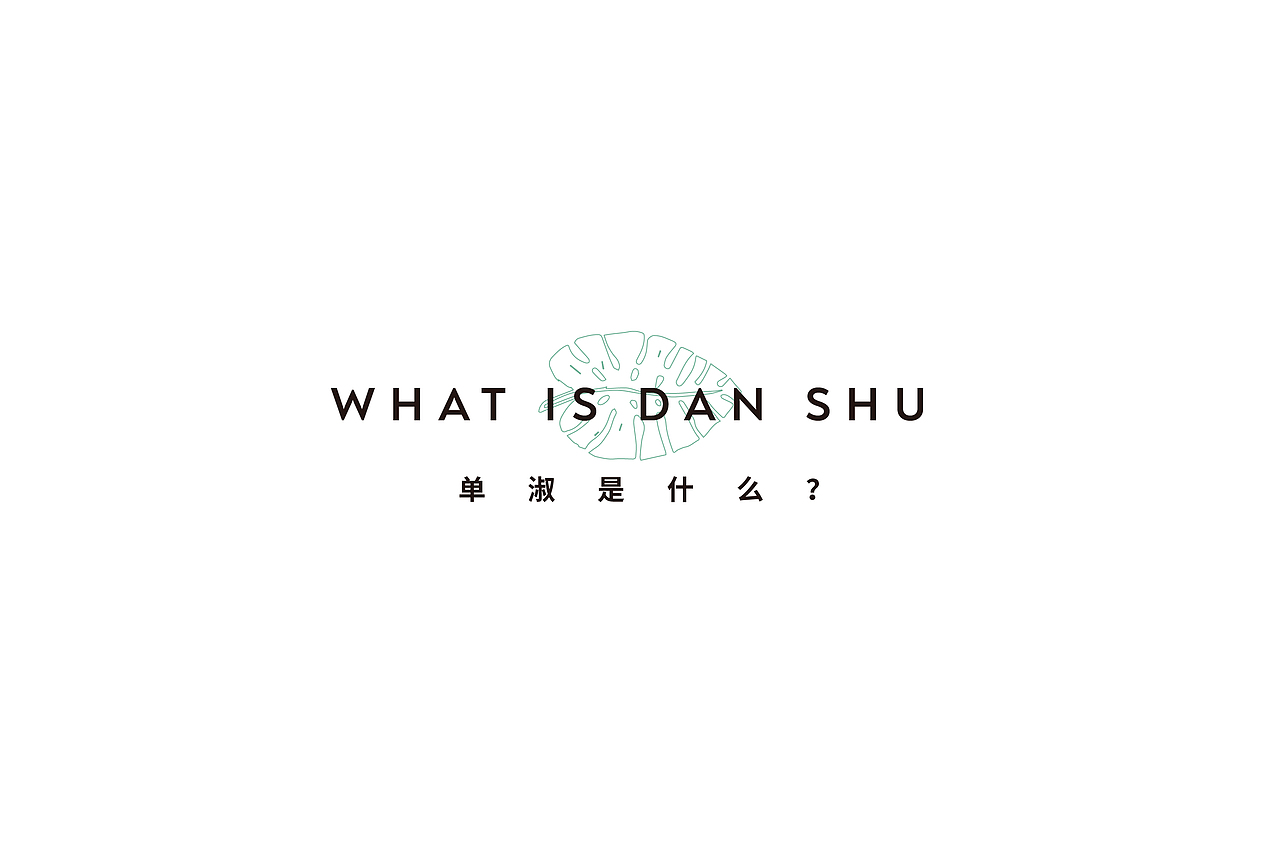 丹淑品牌设计