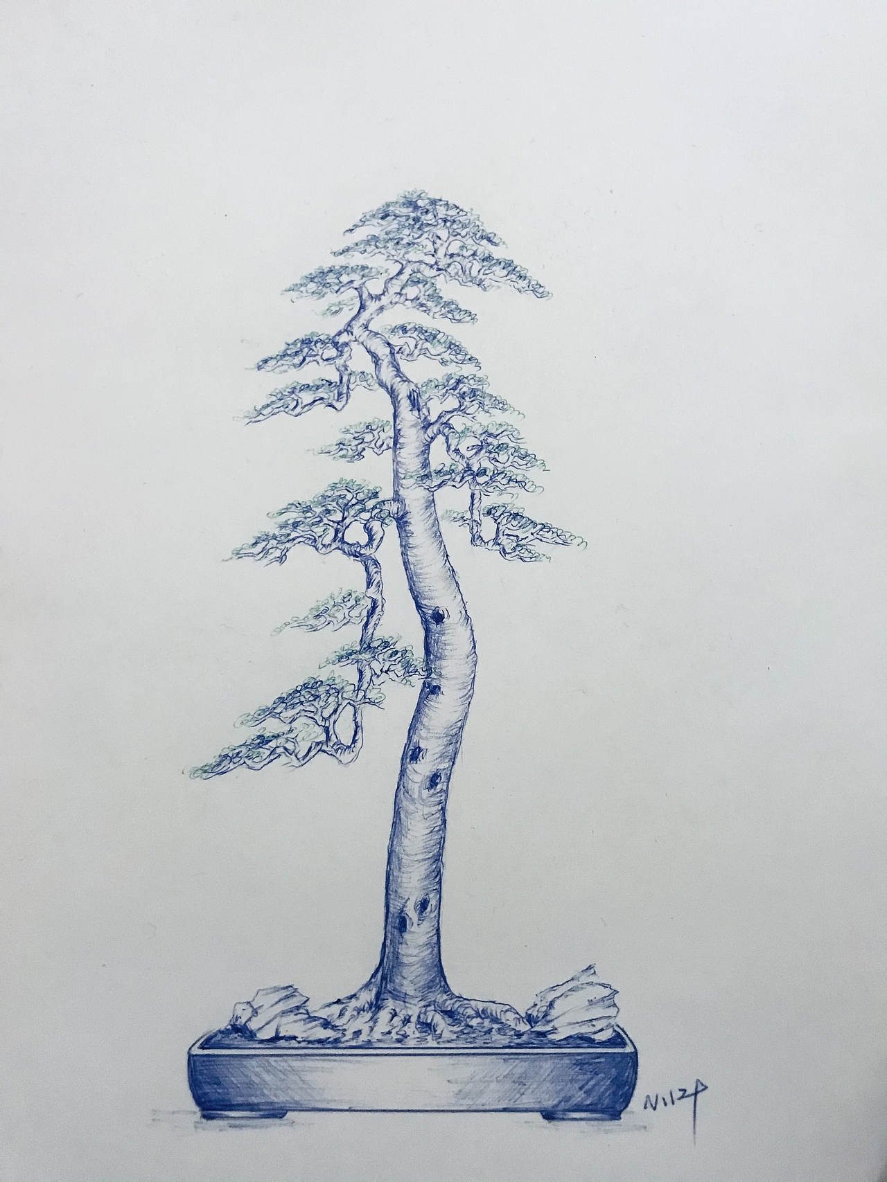 盆景（图ZMjUzMzMyMzcy） - 绘画 - 站酷设计师Z75835907原创素材 - 站酷ZCOOL