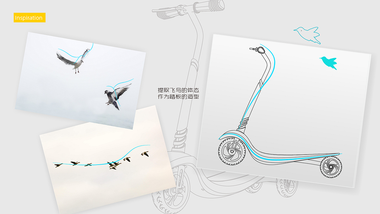 Flyer Scooter-飞鸟儿童滑步车
