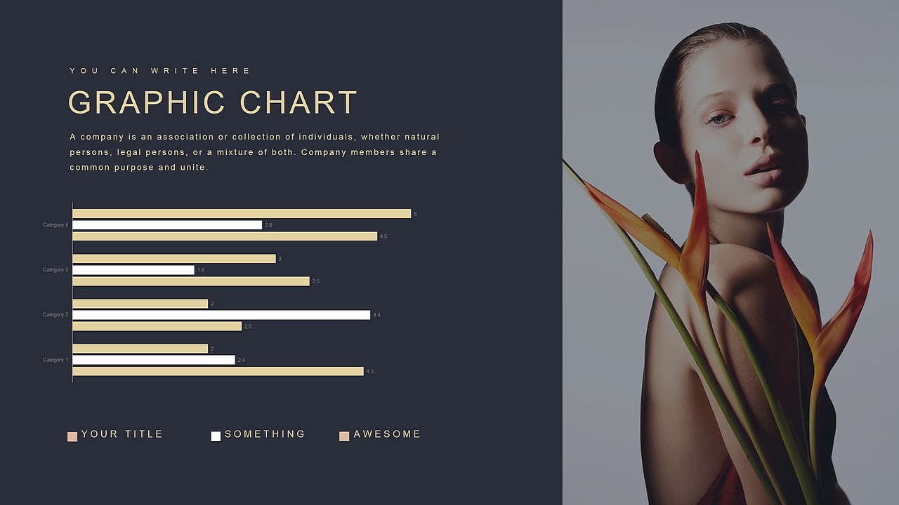 时尚高端奢饰品策划推广营销宣传PPT模版