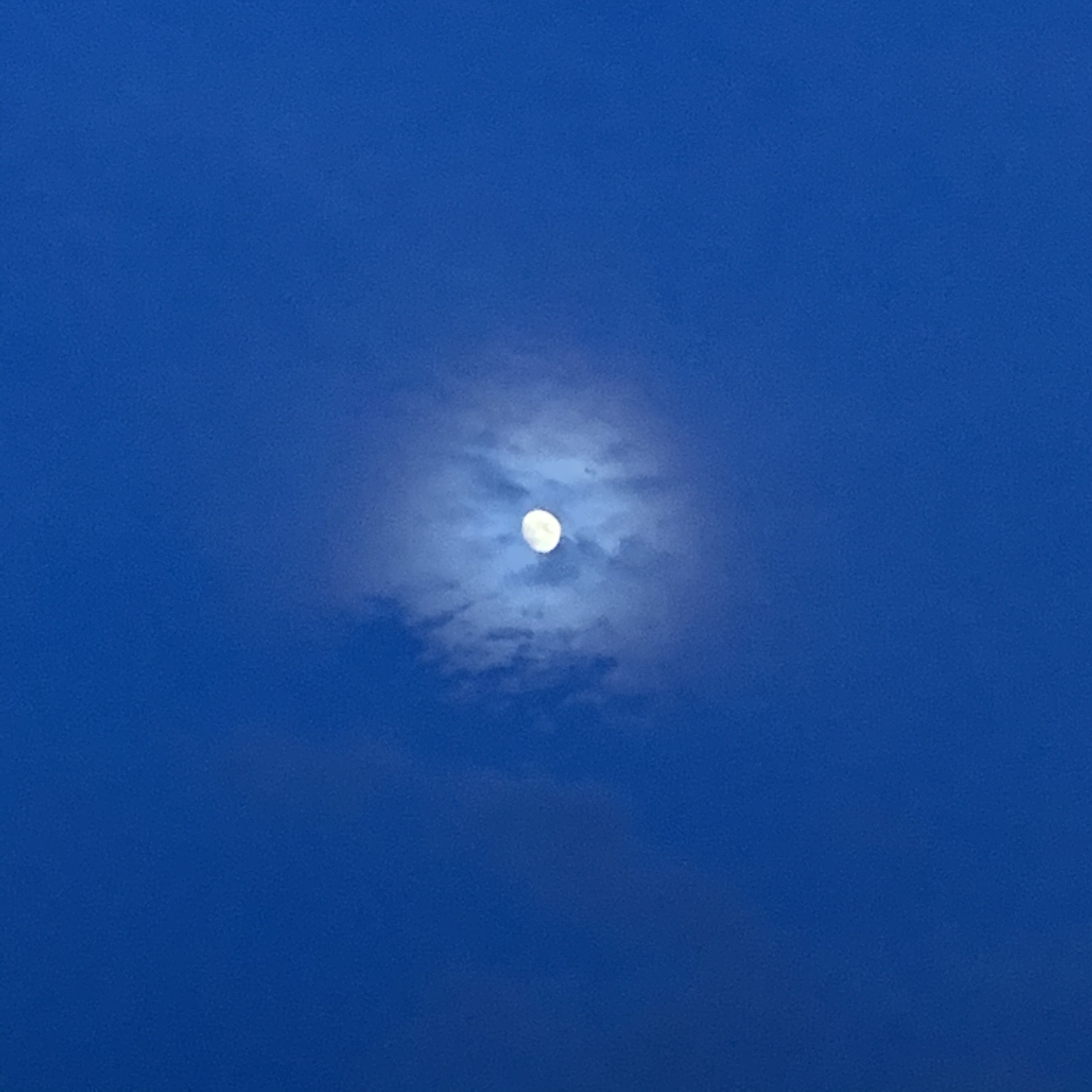 美少羽的個人主頁（封面預覽） - 主頁封面設置 - 站酷設計師美少羽原創(chuàng)素材 - 站酷ZCOOL