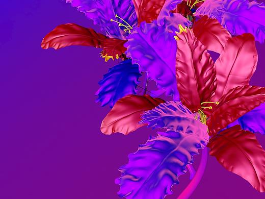 花瓣