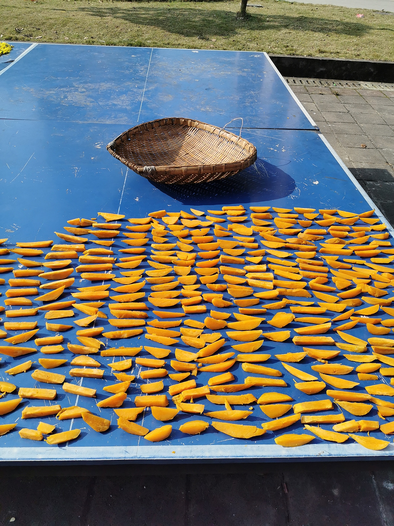 行走的趣图,手机拍摄